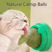 MeowMint™ (Pack de 2 unidades) Catnip Premium para Gatos Felices 😻🌿✨