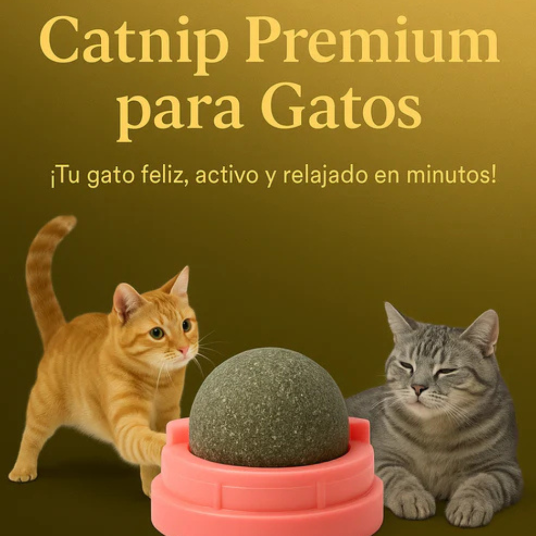 MeowMint™ (Pack de 2 unidades) Catnip Premium para Gatos Felices 😻🌿✨