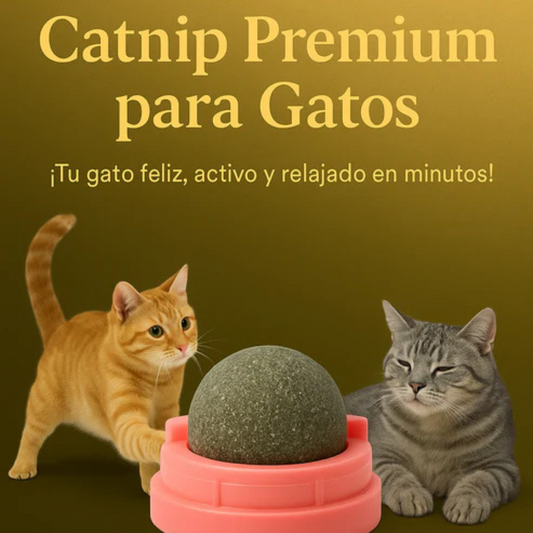 MeowMint™ (Pack de 2 unidades) Catnip Premium para Gatos Felices 😻🌿✨